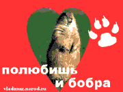 Открытка с анимацией. Любовь добра