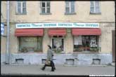 Жанровая фотография. Диана (86 КБ)